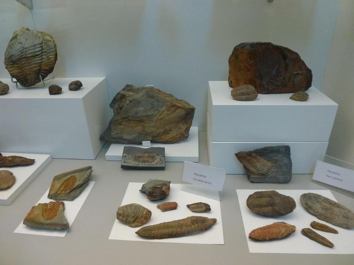 Navatrasierra Casa Rural La Colmena Del Geoparque מראה חיצוני תמונה